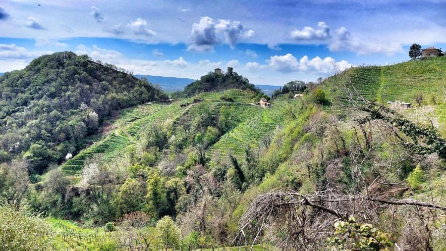 Agriturismo Al Credazzo Farra di Soligo Zewnętrze zdjęcie