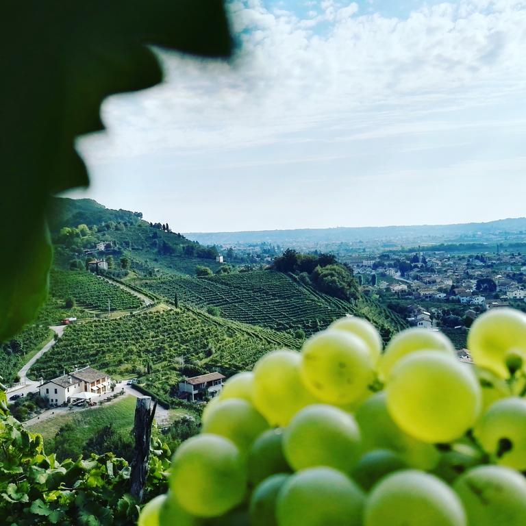 Agriturismo Al Credazzo Farra di Soligo Zewnętrze zdjęcie