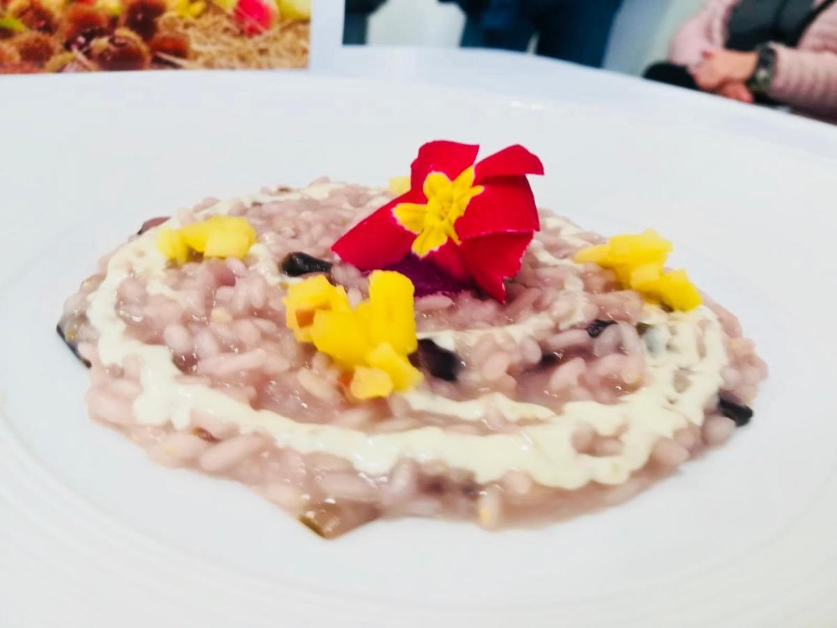 Agriturismo Al Credazzo Farra di Soligo Zewnętrze zdjęcie